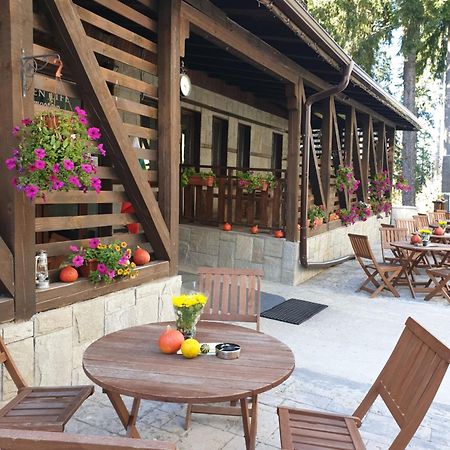 Green Life Family Apartments Pamporovo Esterno foto