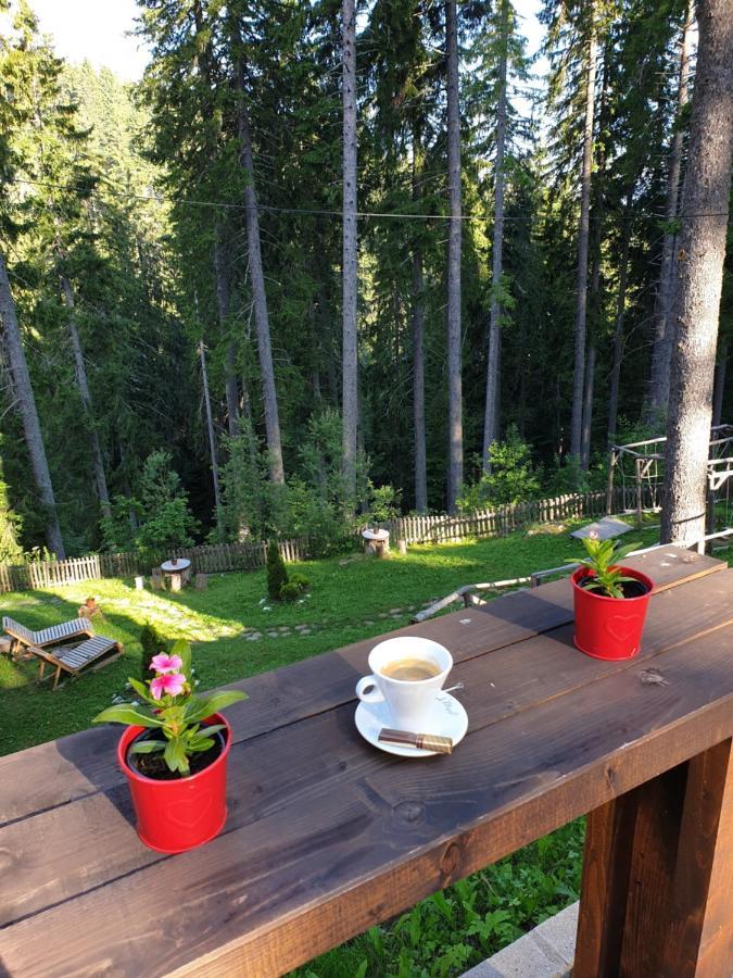 Green Life Family Apartments Pamporovo Esterno foto