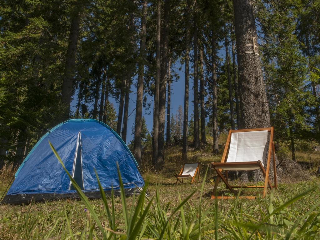 Green Life Family Apartments Pamporovo Esterno foto